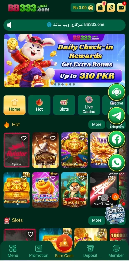 BB333 Game