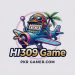 HI309 Game