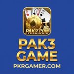 Pak3 Game